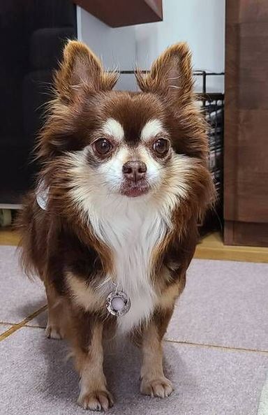 メイの写真