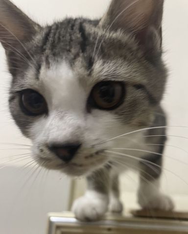 おテツの写真