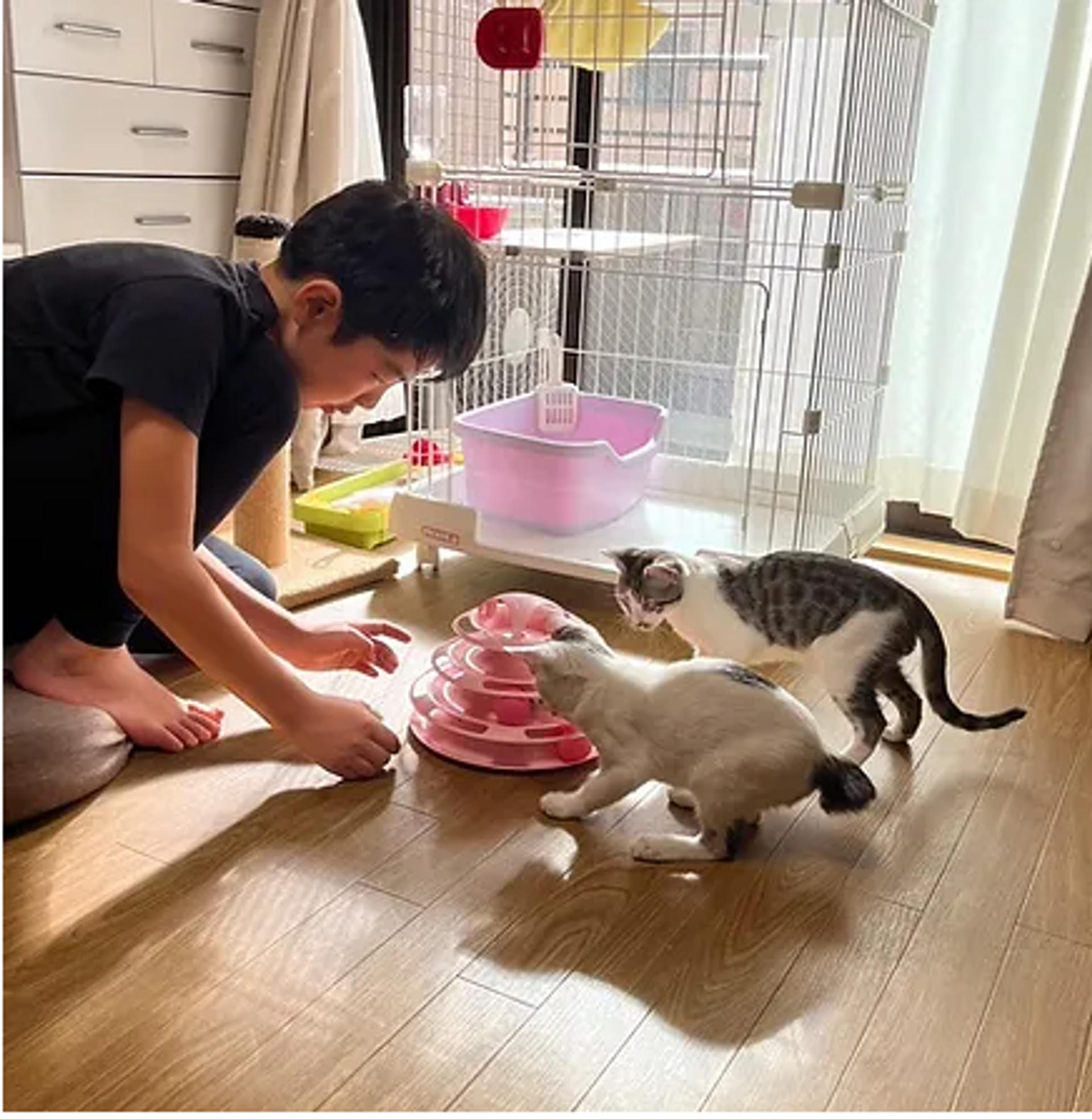 pet-image-7