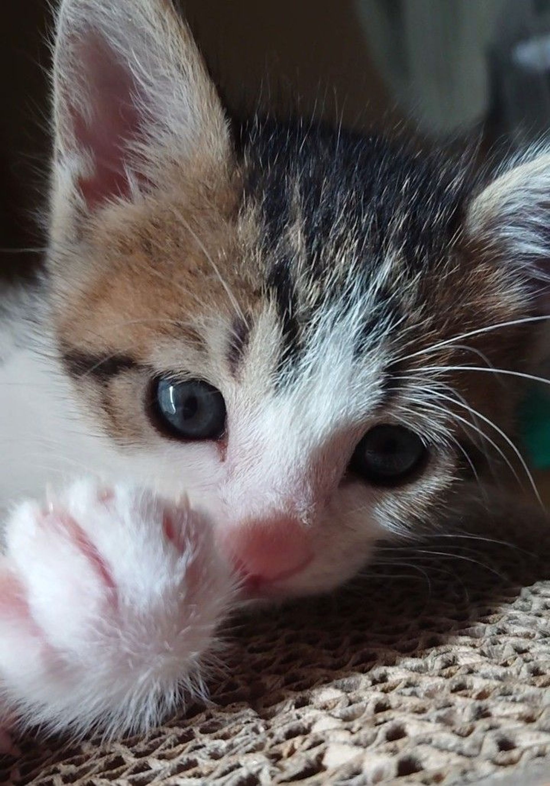 thumbnail-5