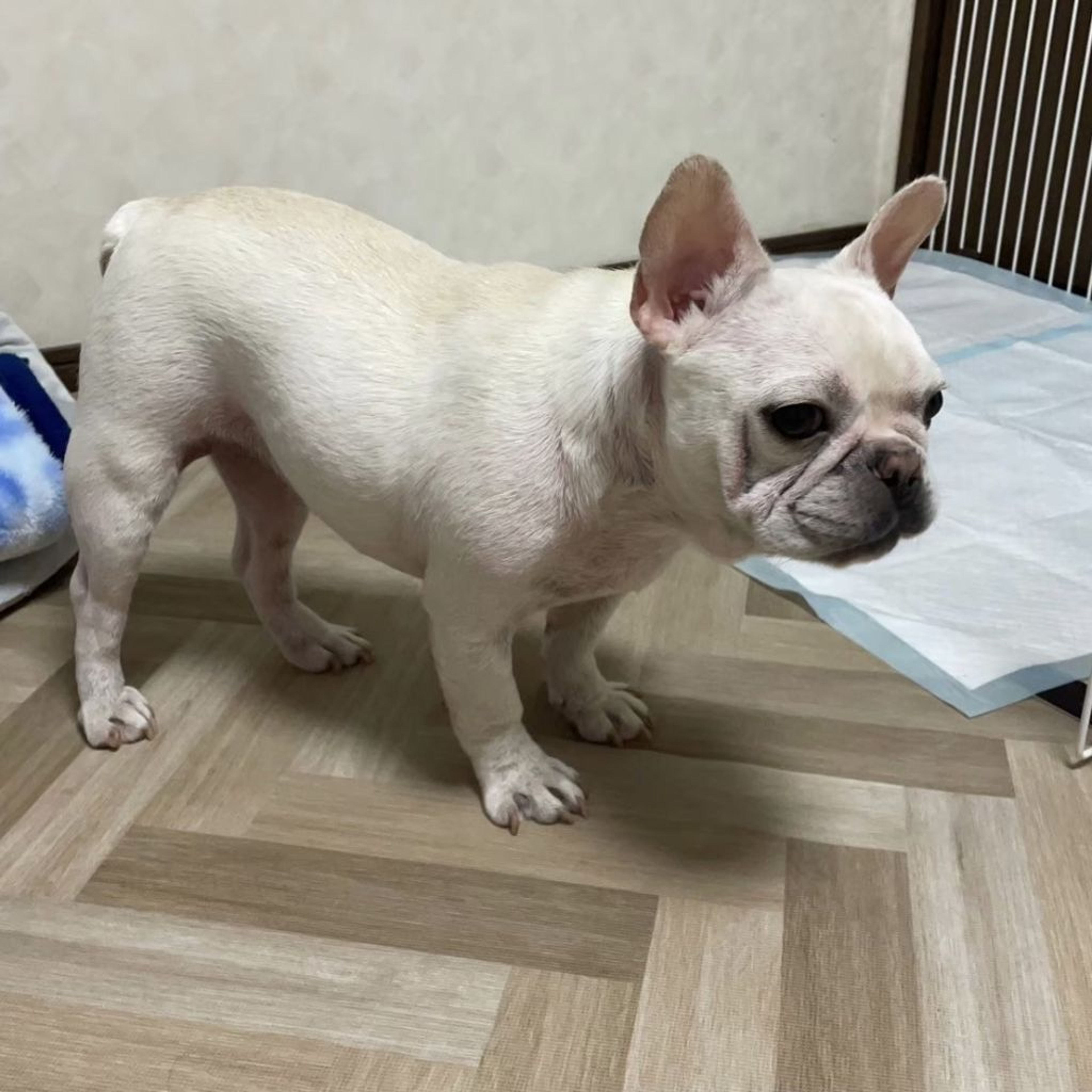 image-3
