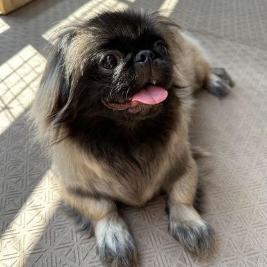 ムニ子