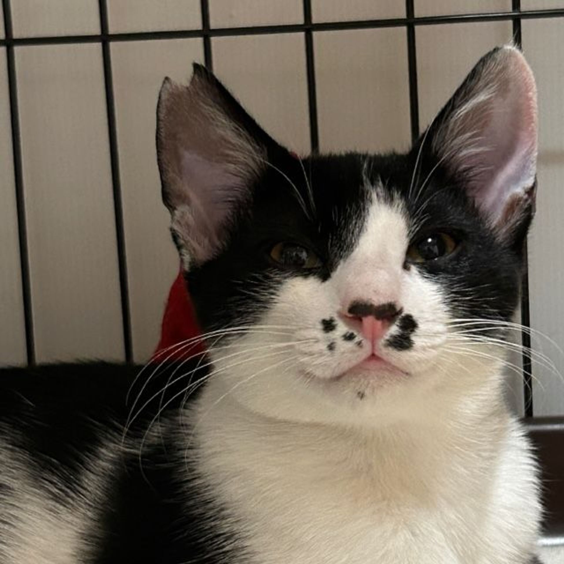 thumbnail-3