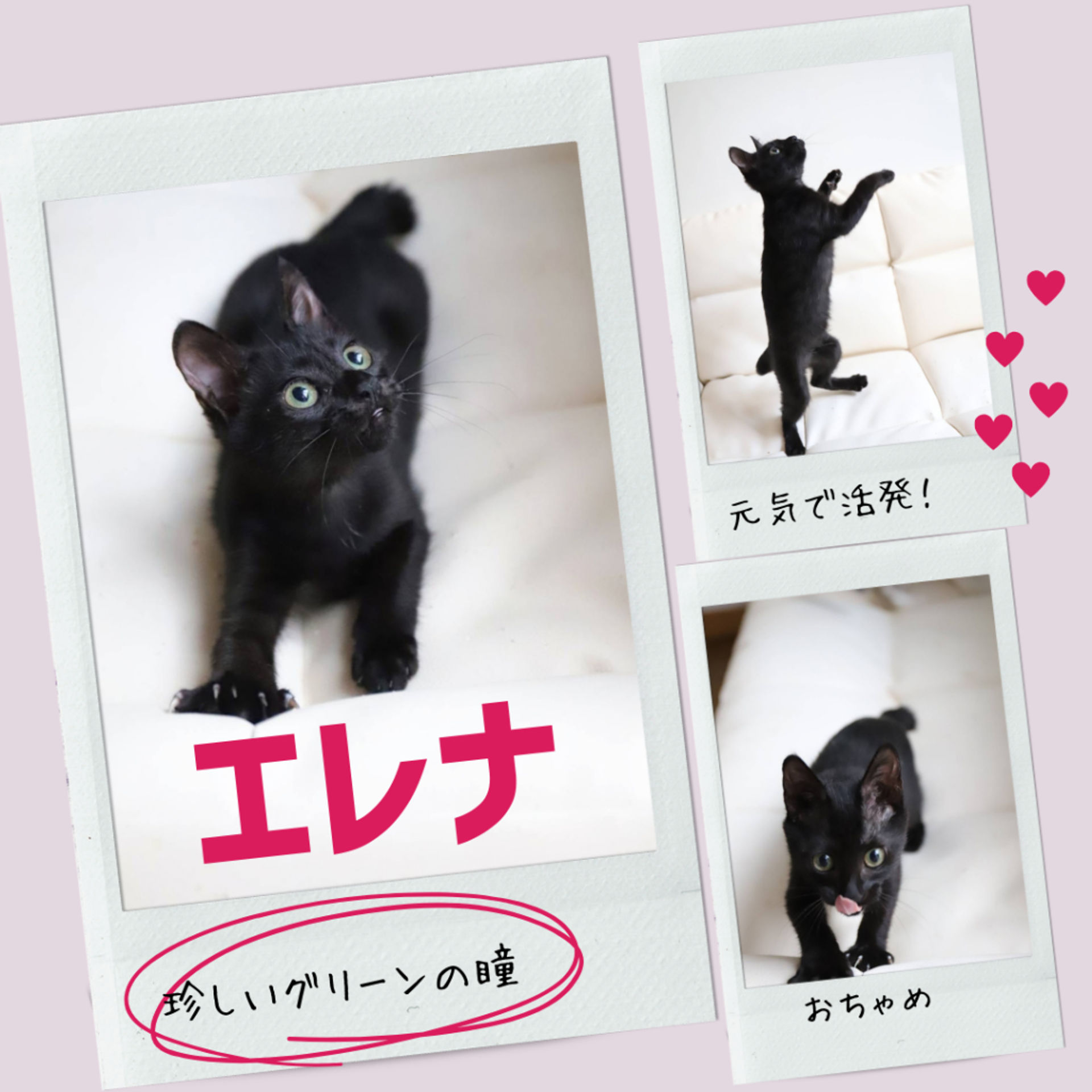thumbnail-6