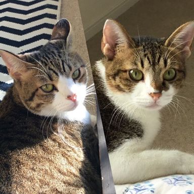 モルド&グリンの写真