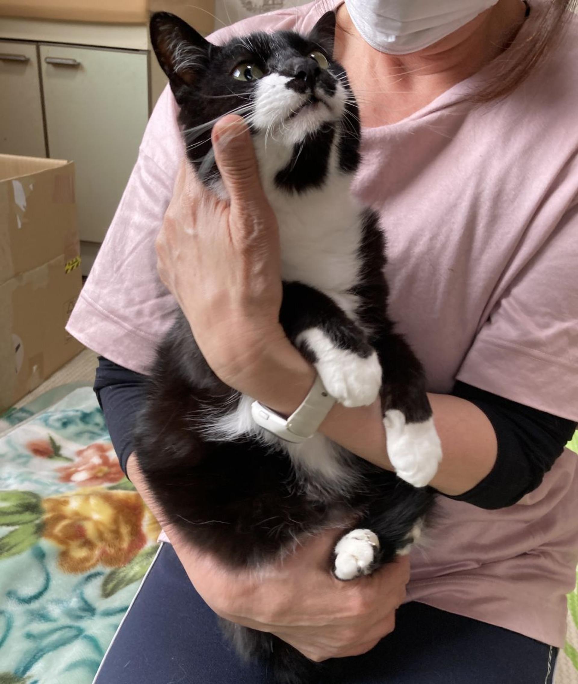 pet-image-4