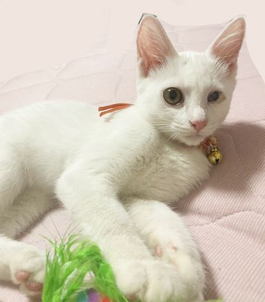 ルナの写真