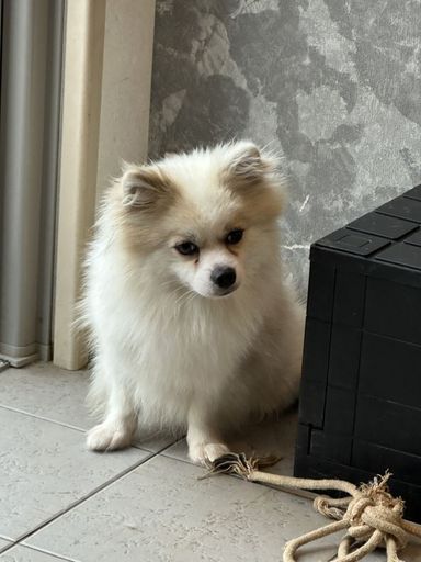 カンの写真