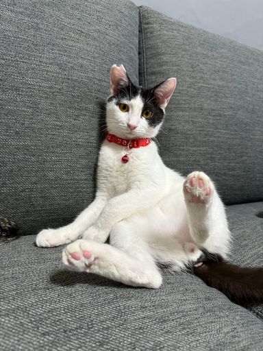 想