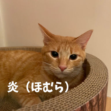 炎