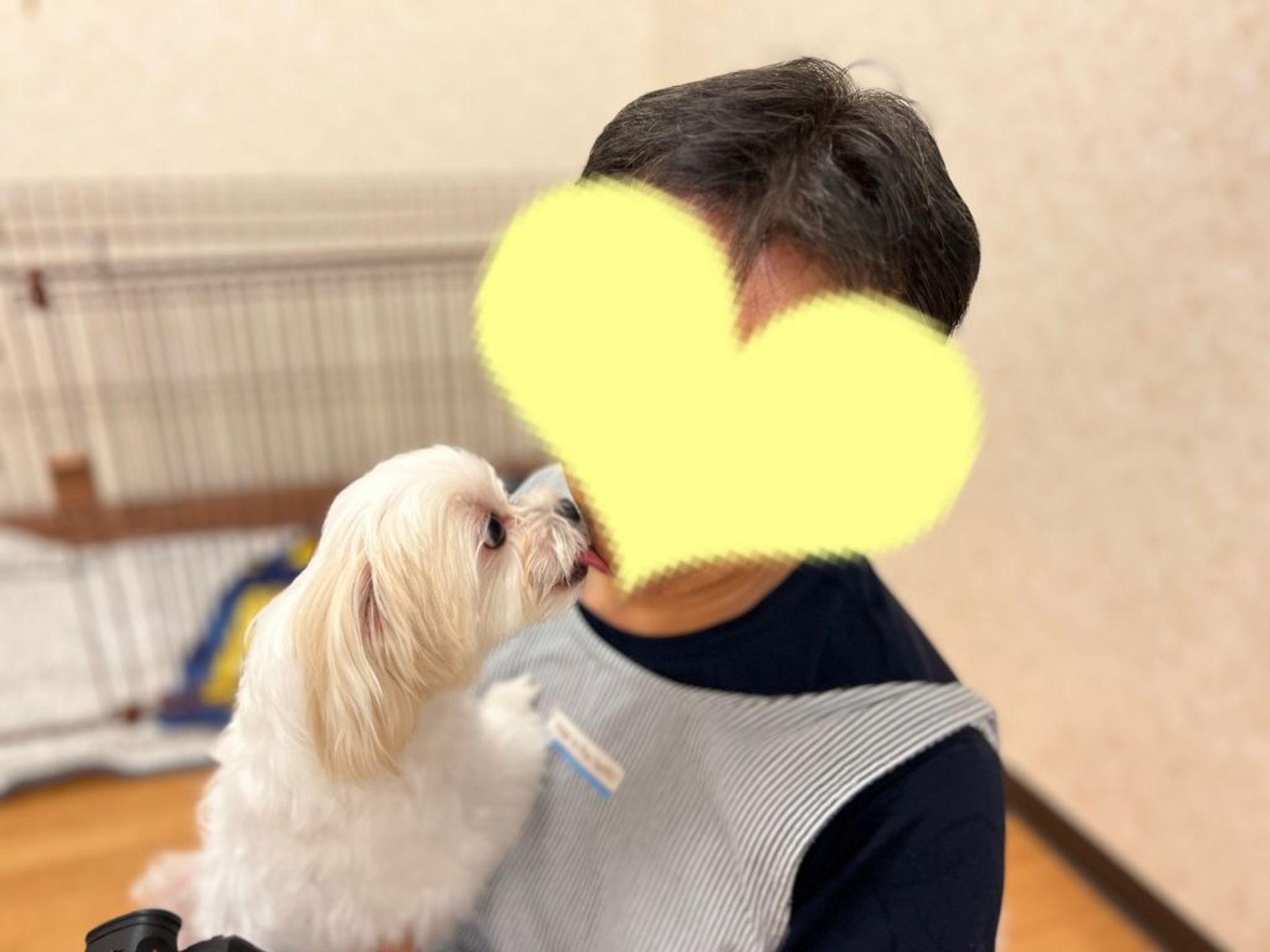 thumbnail-7