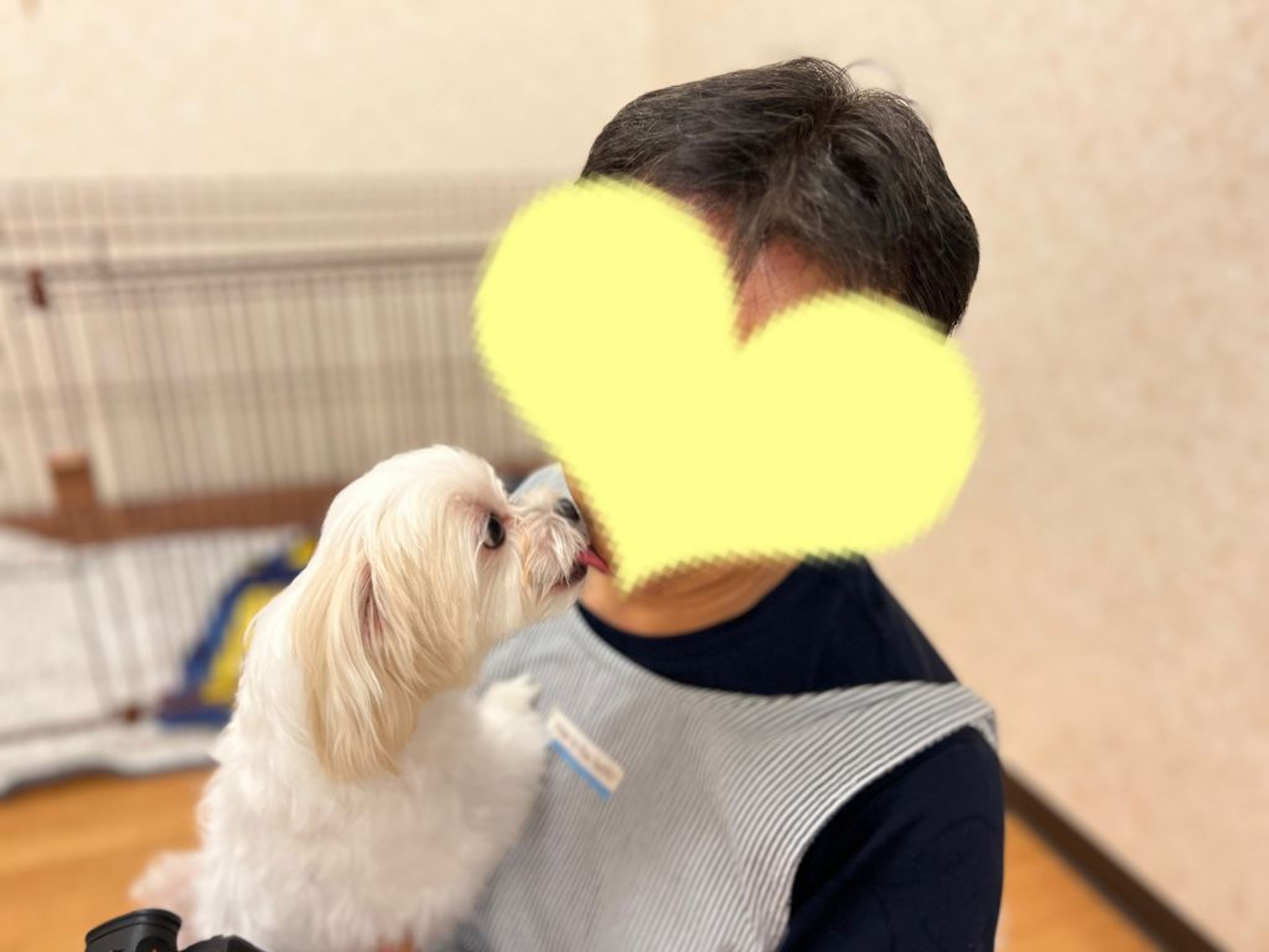 pet-image-7