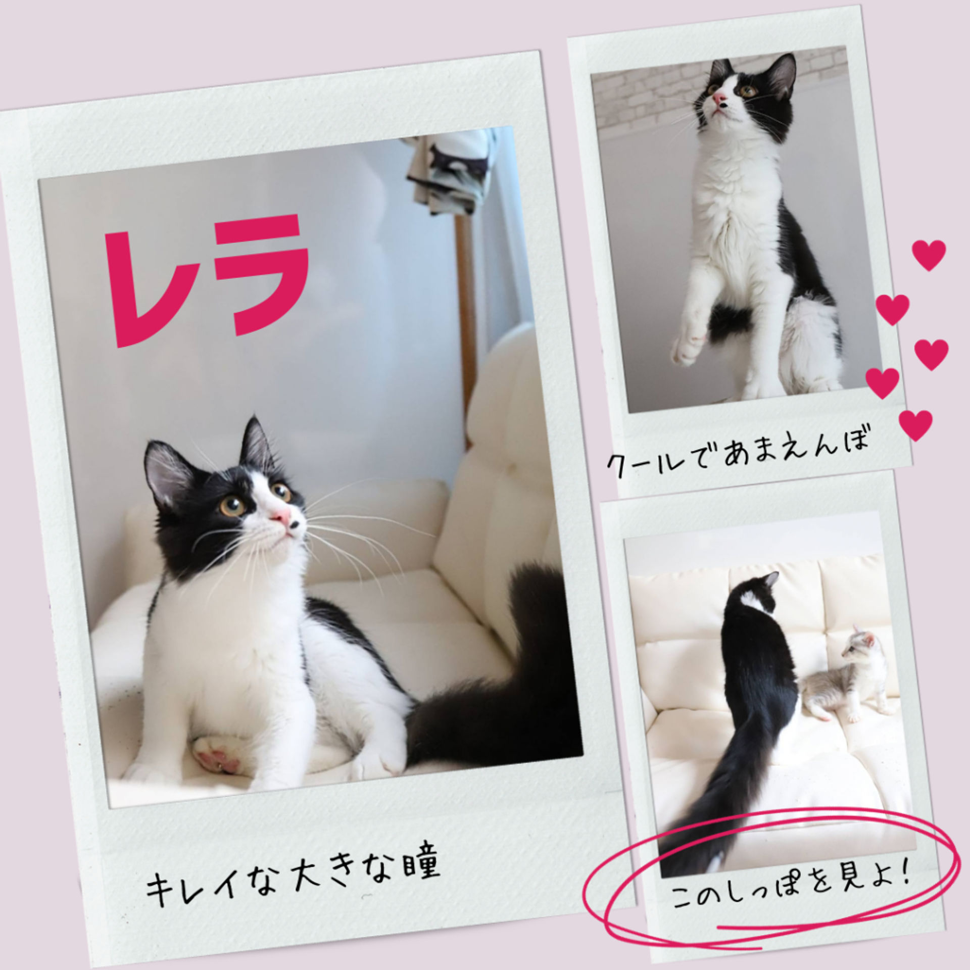 thumbnail-4