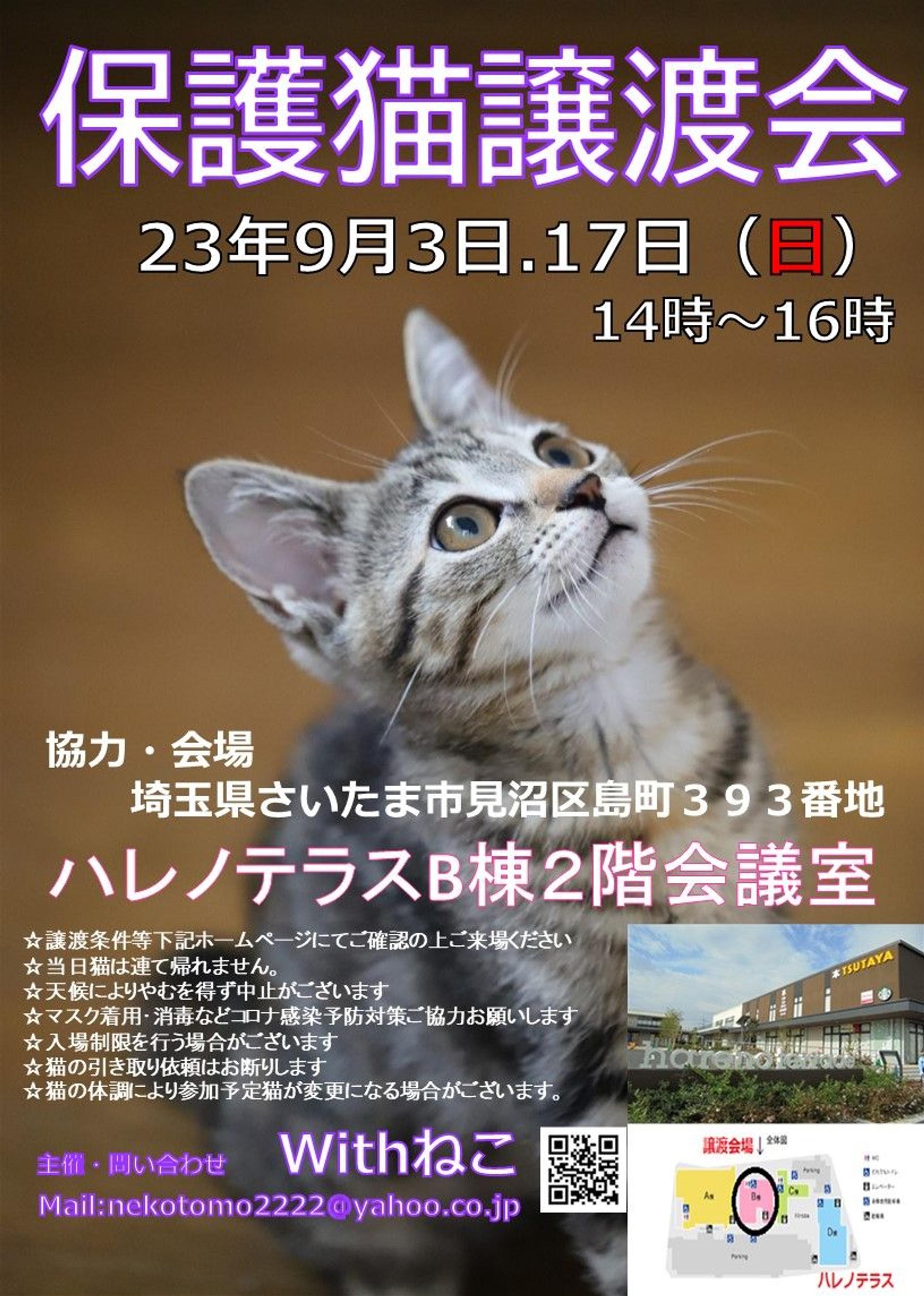 pet-image-9