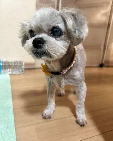 じゅんくんの写真
