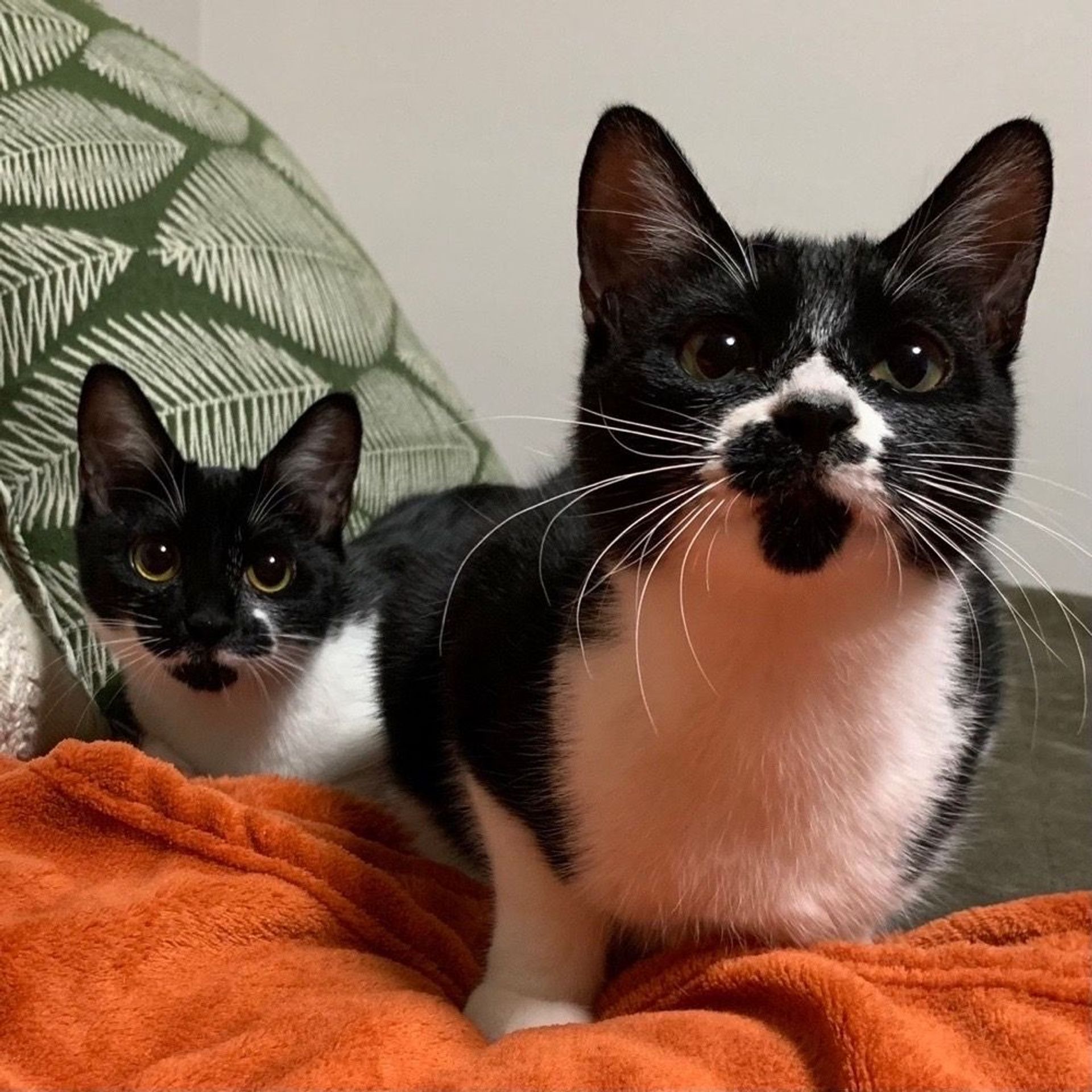 thumbnail-4
