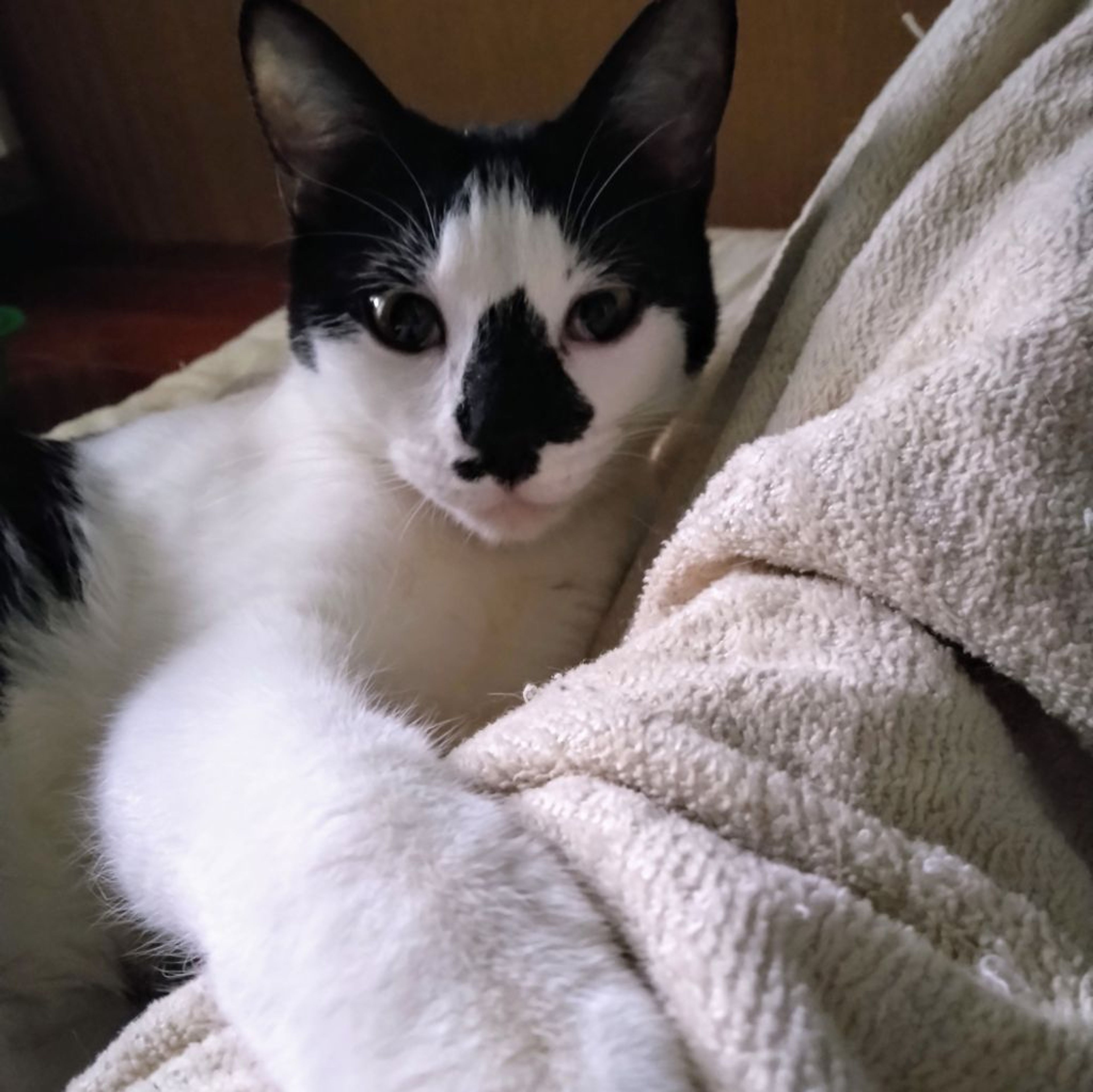 image-6