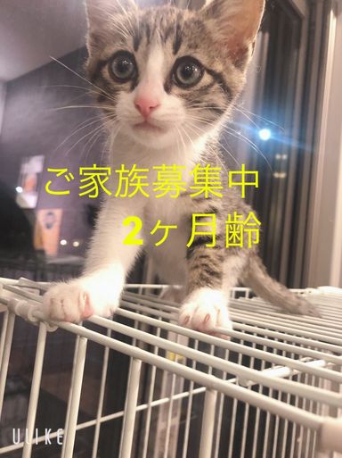 とうきちの写真