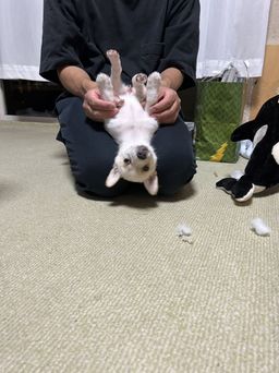 thumb-6