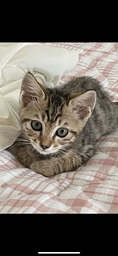 いっちゃん
