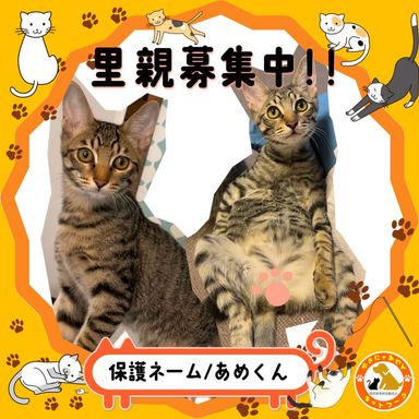 あめ