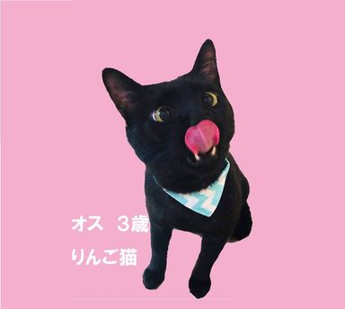 名無しちゃんの写真