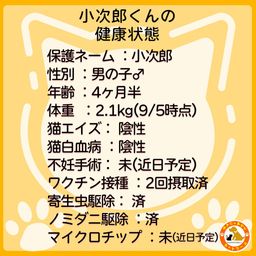 thumb-1