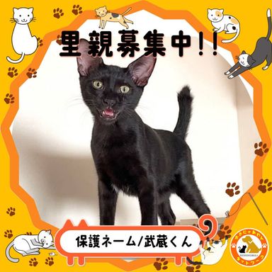 武蔵