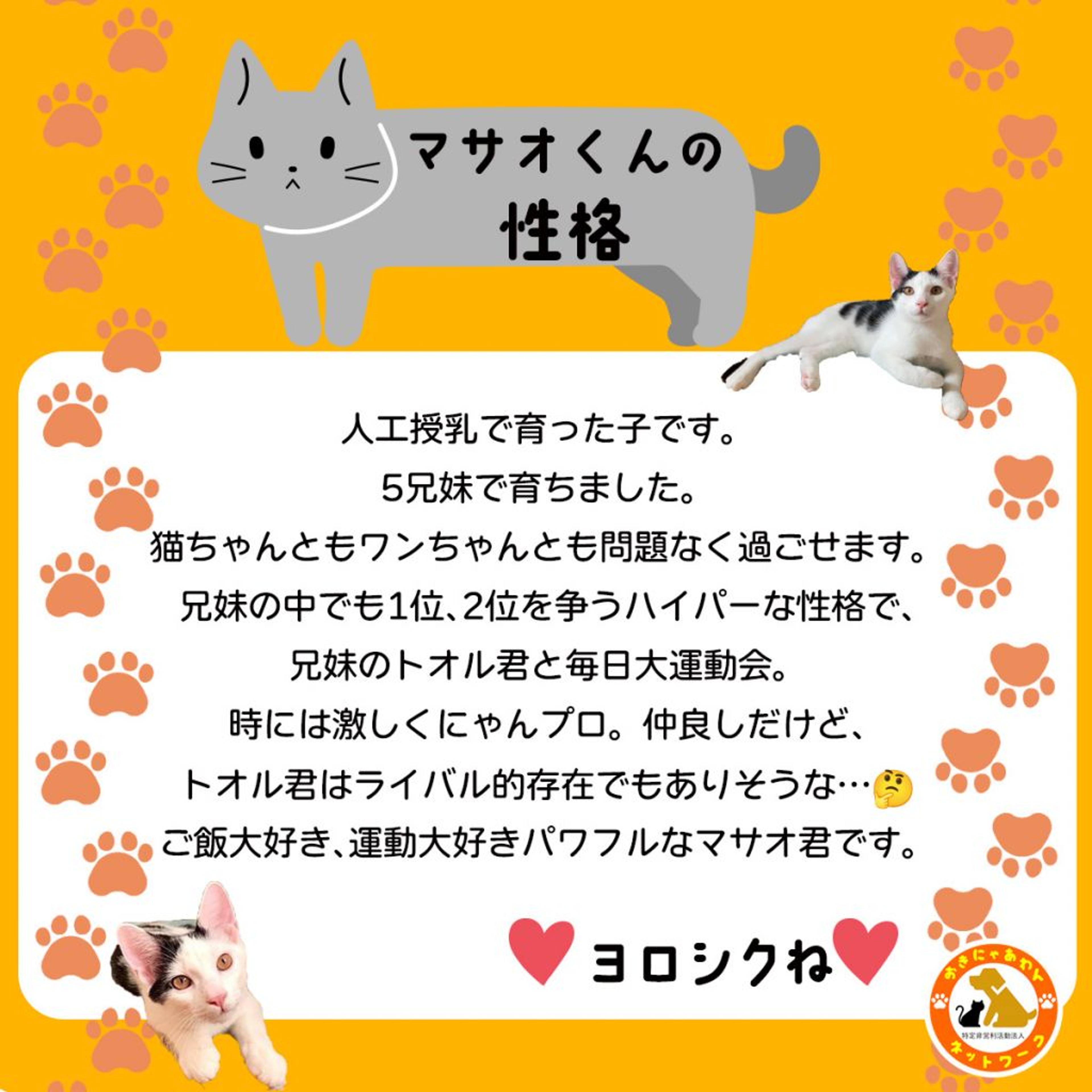 pet-image-3