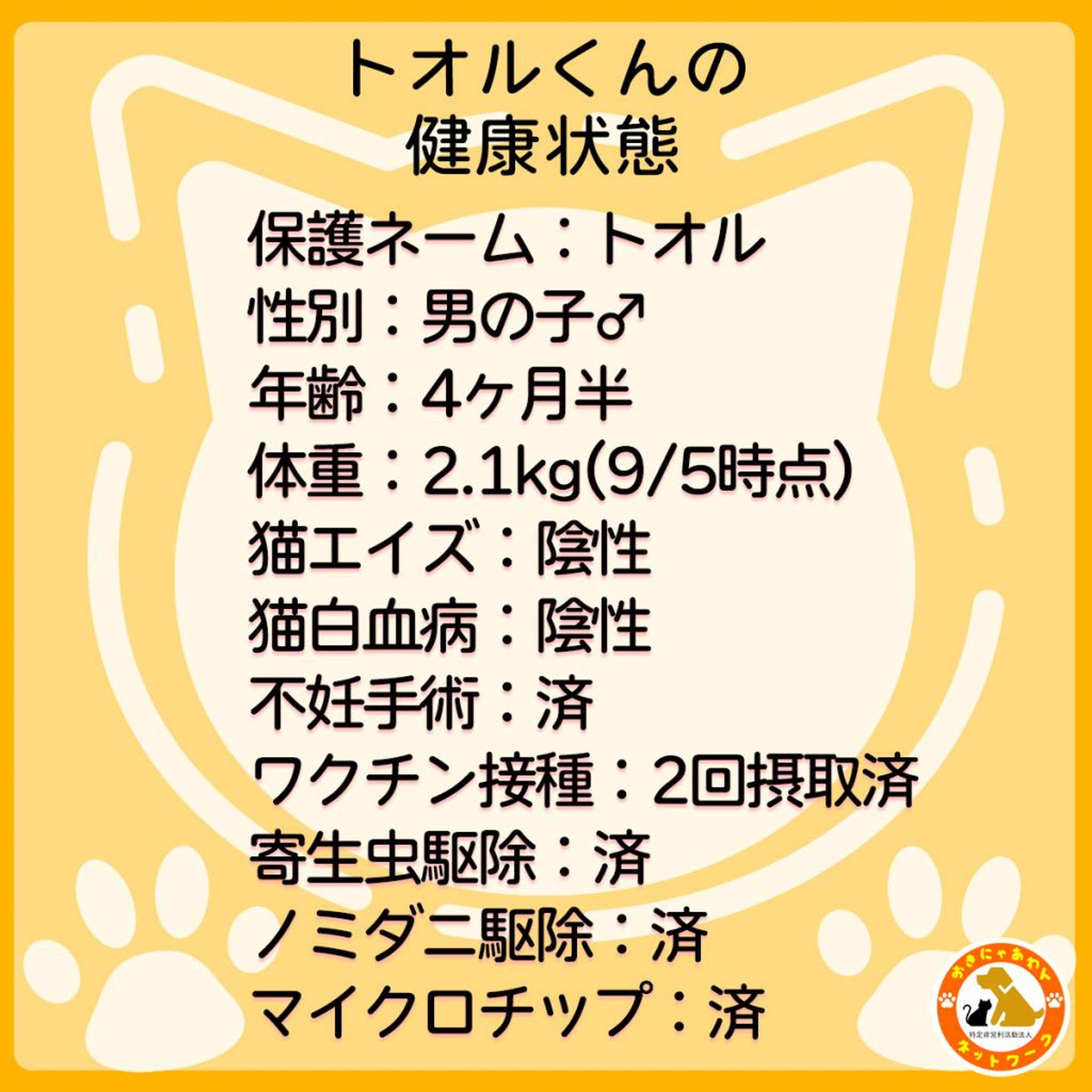 pet-image-2