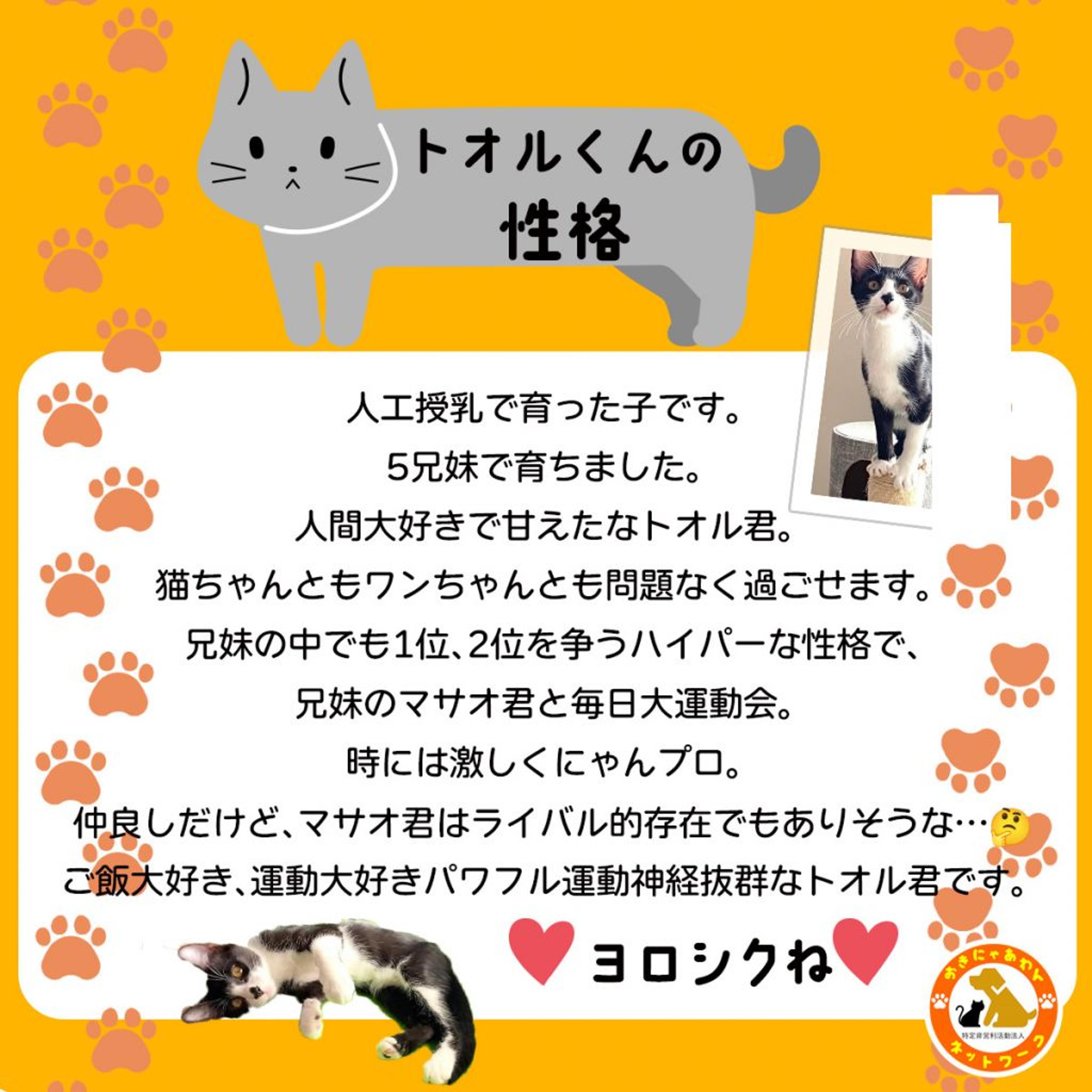pet-image-3