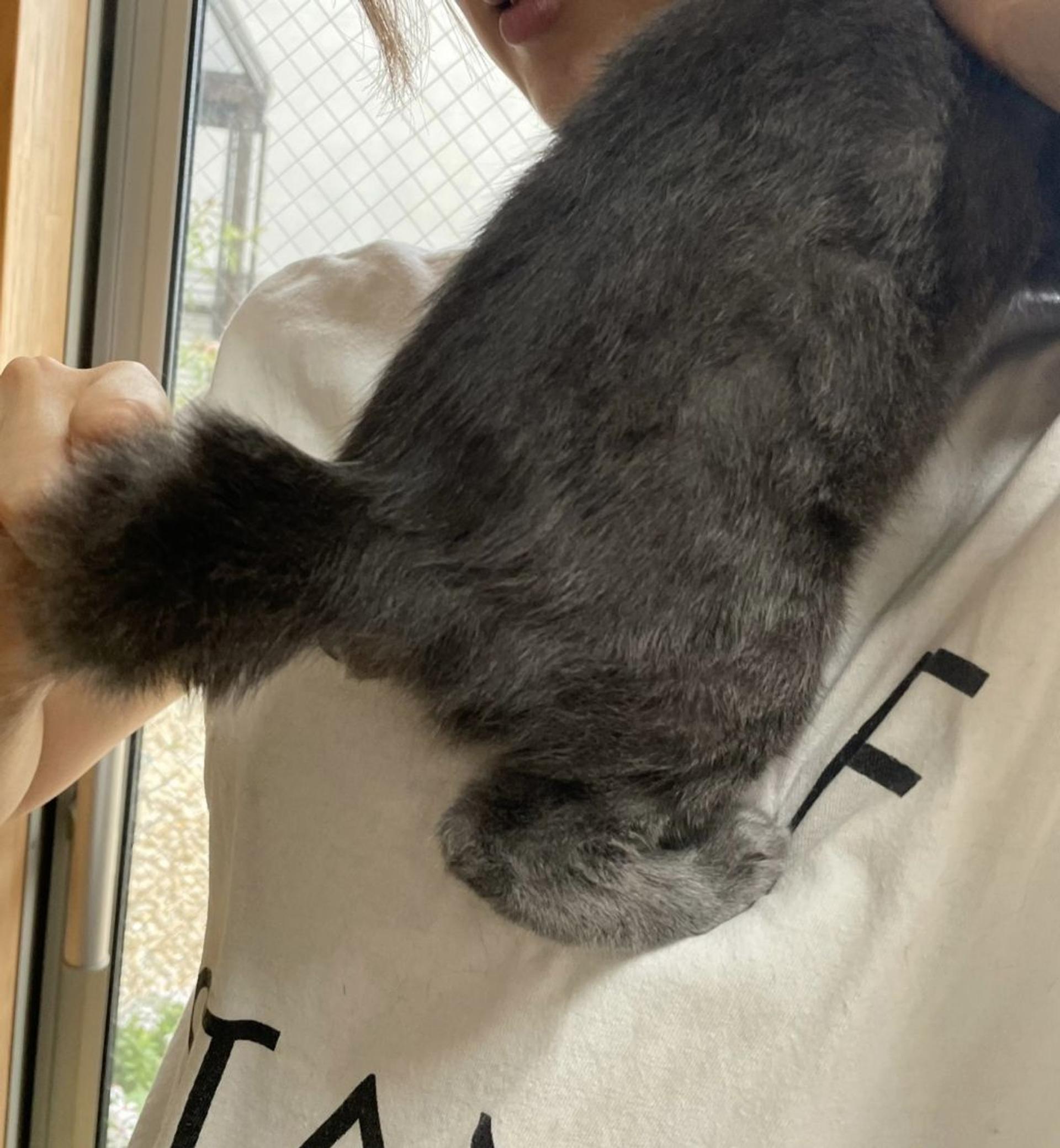 pet-image-6