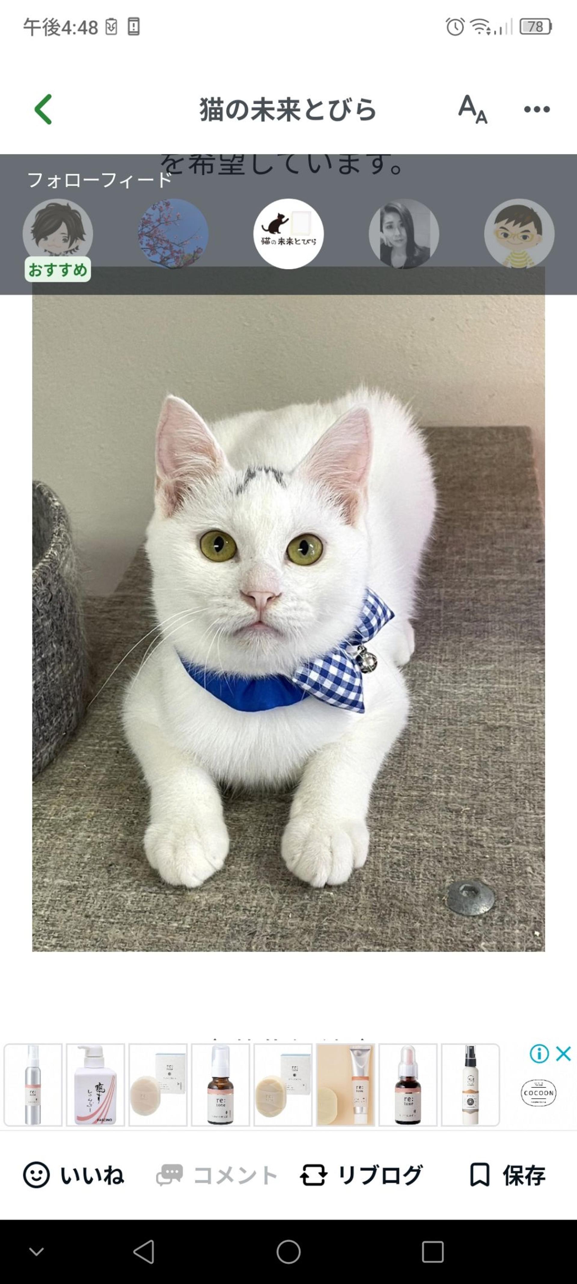 pet-image-2