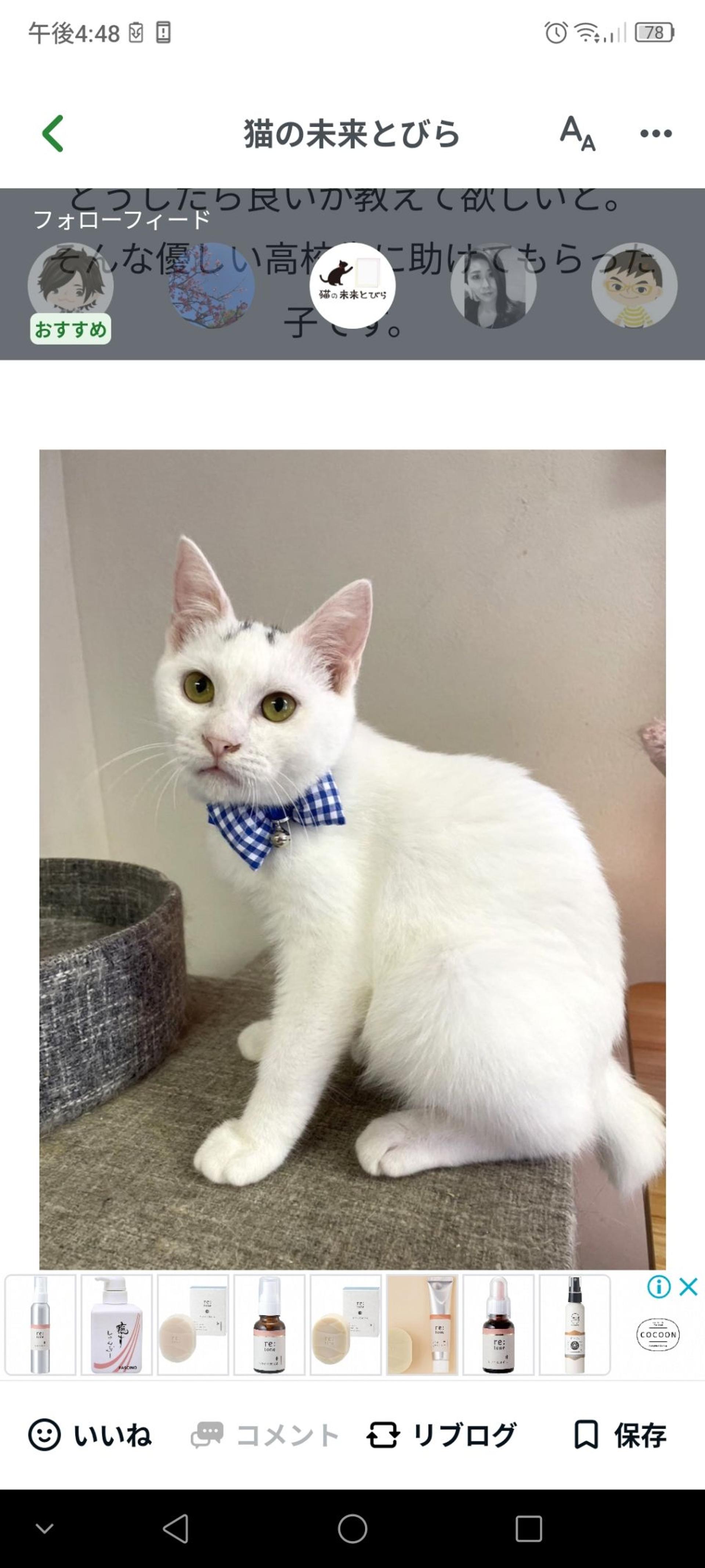 pet-image-3