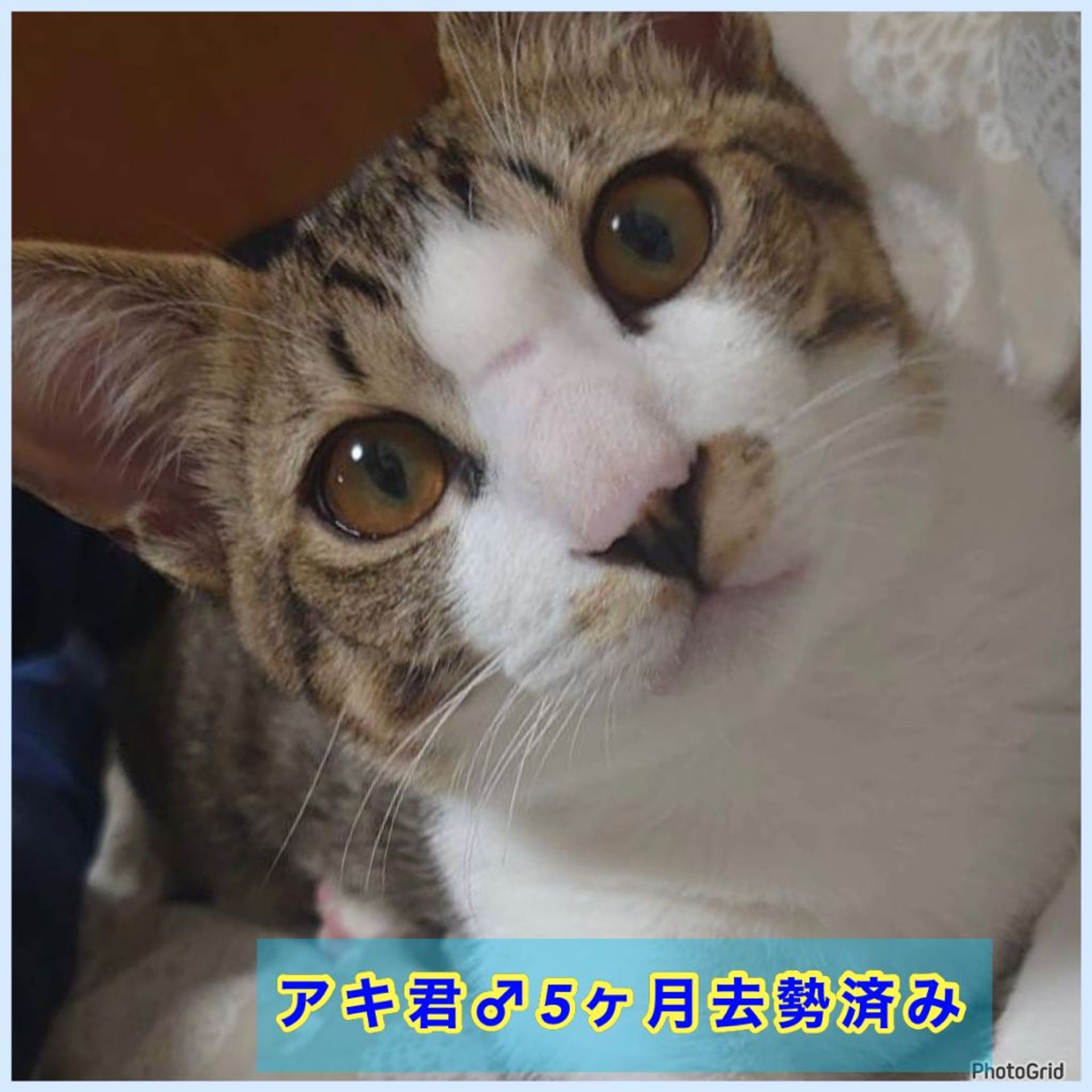 thumbnail-5