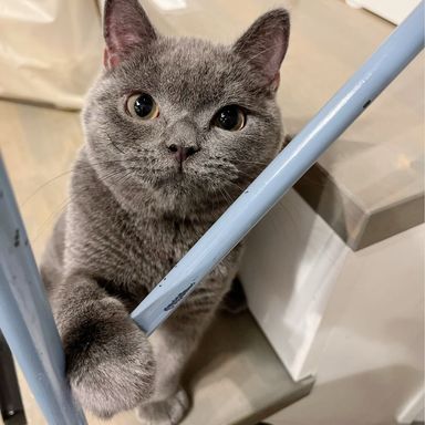 クロスの写真