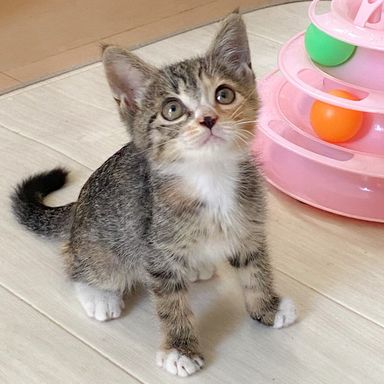 ようの写真