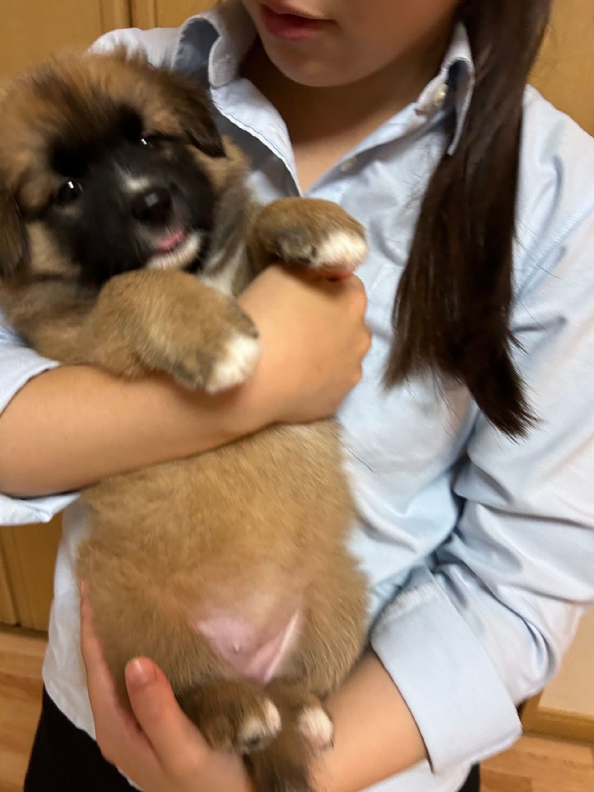 thumbnail-5