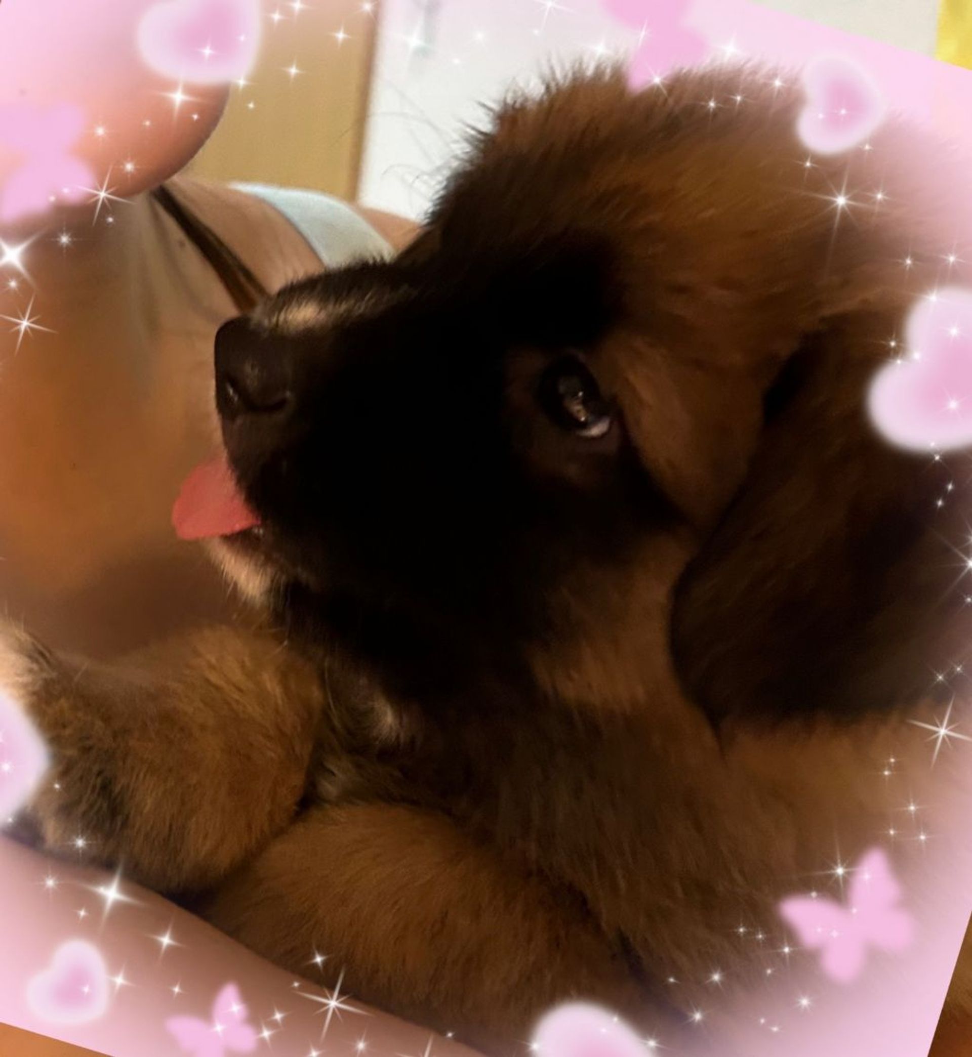 thumbnail-8