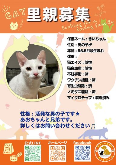きいの写真