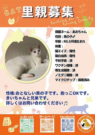 あおの写真