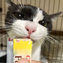 thumb-9