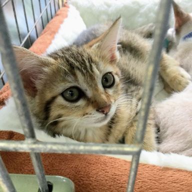 名無しちゃんの写真