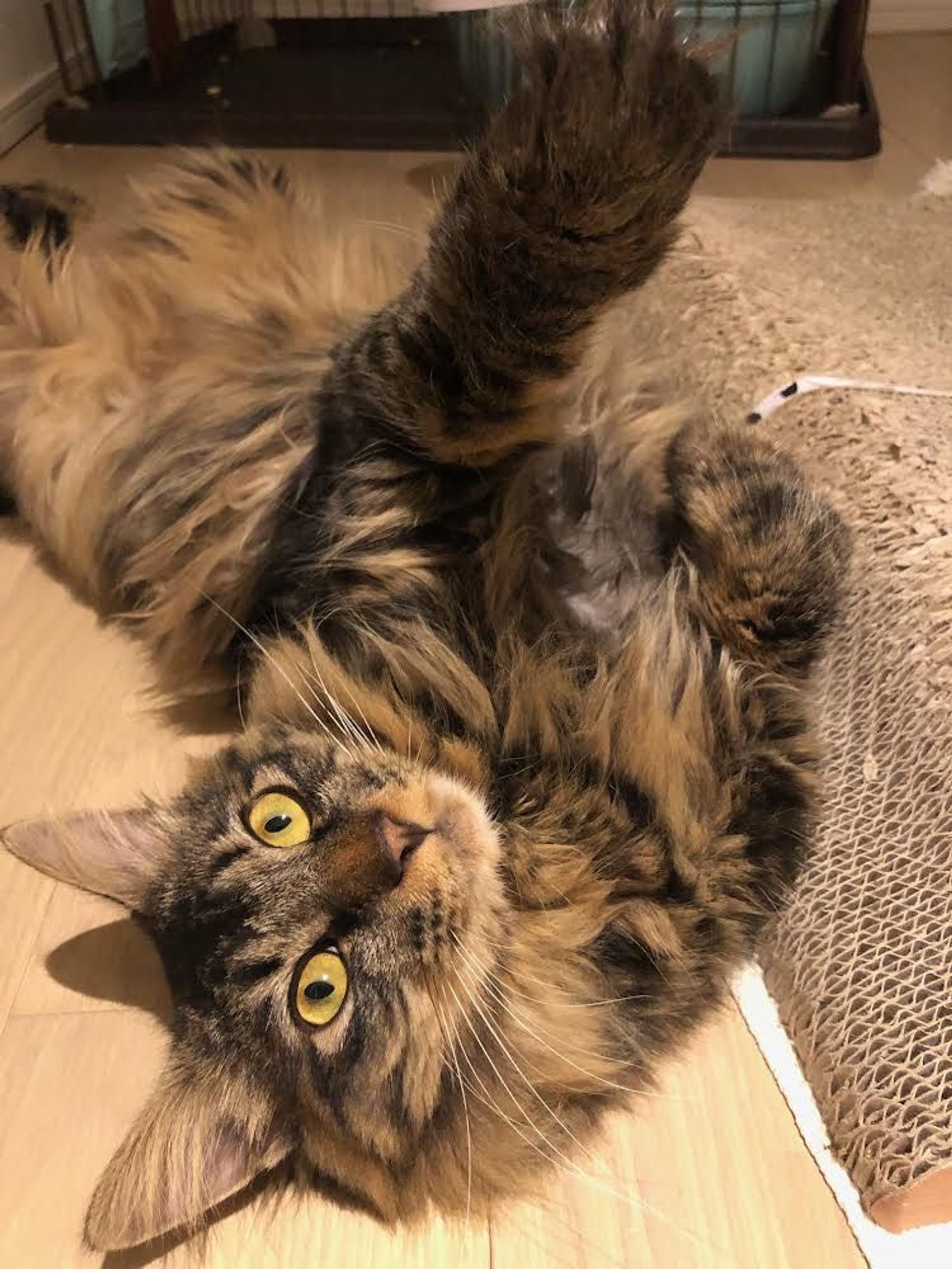 thumbnail-8