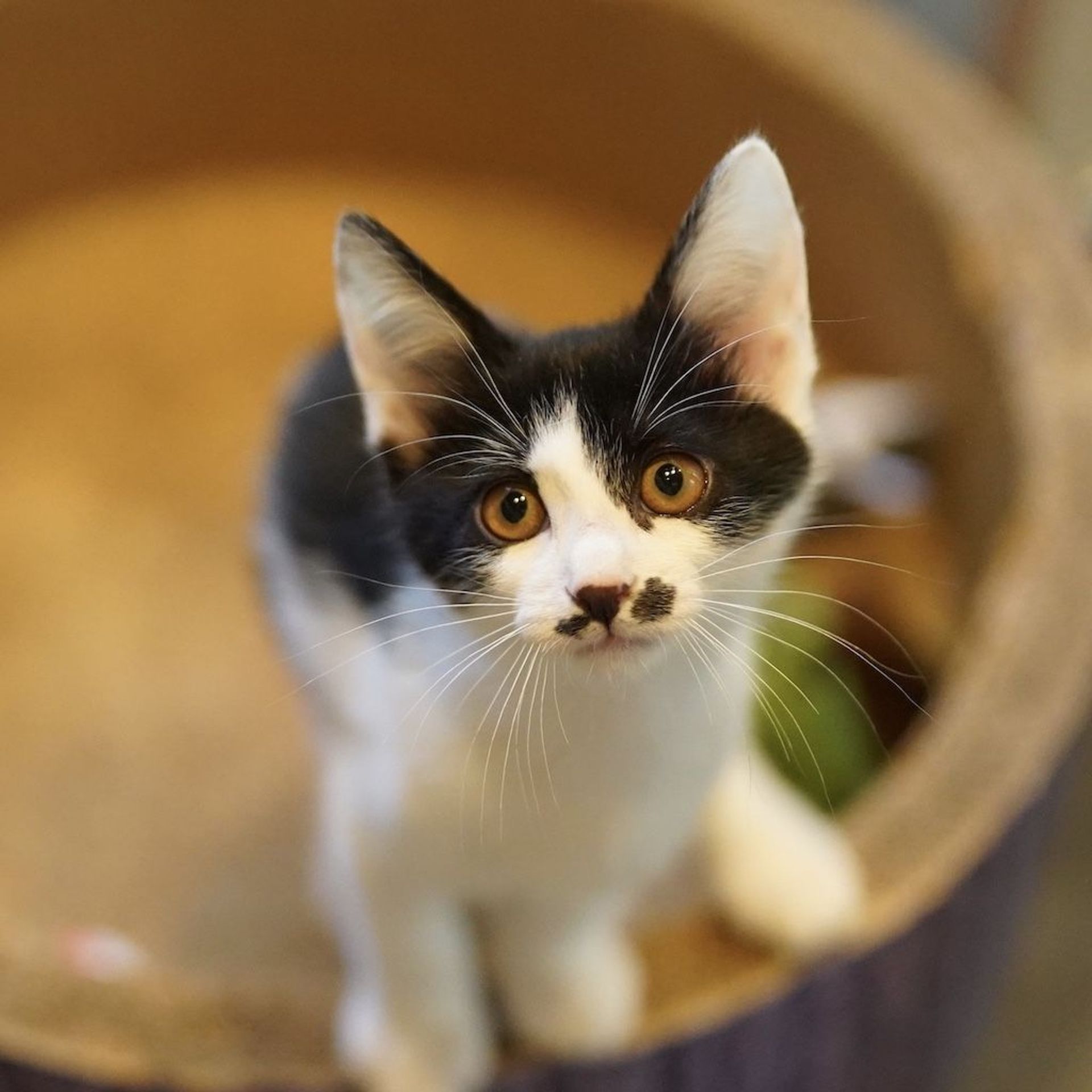 thumbnail-3