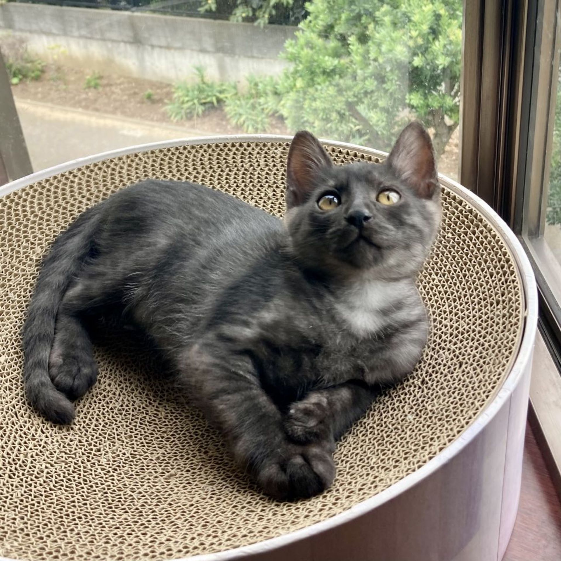 thumbnail-4
