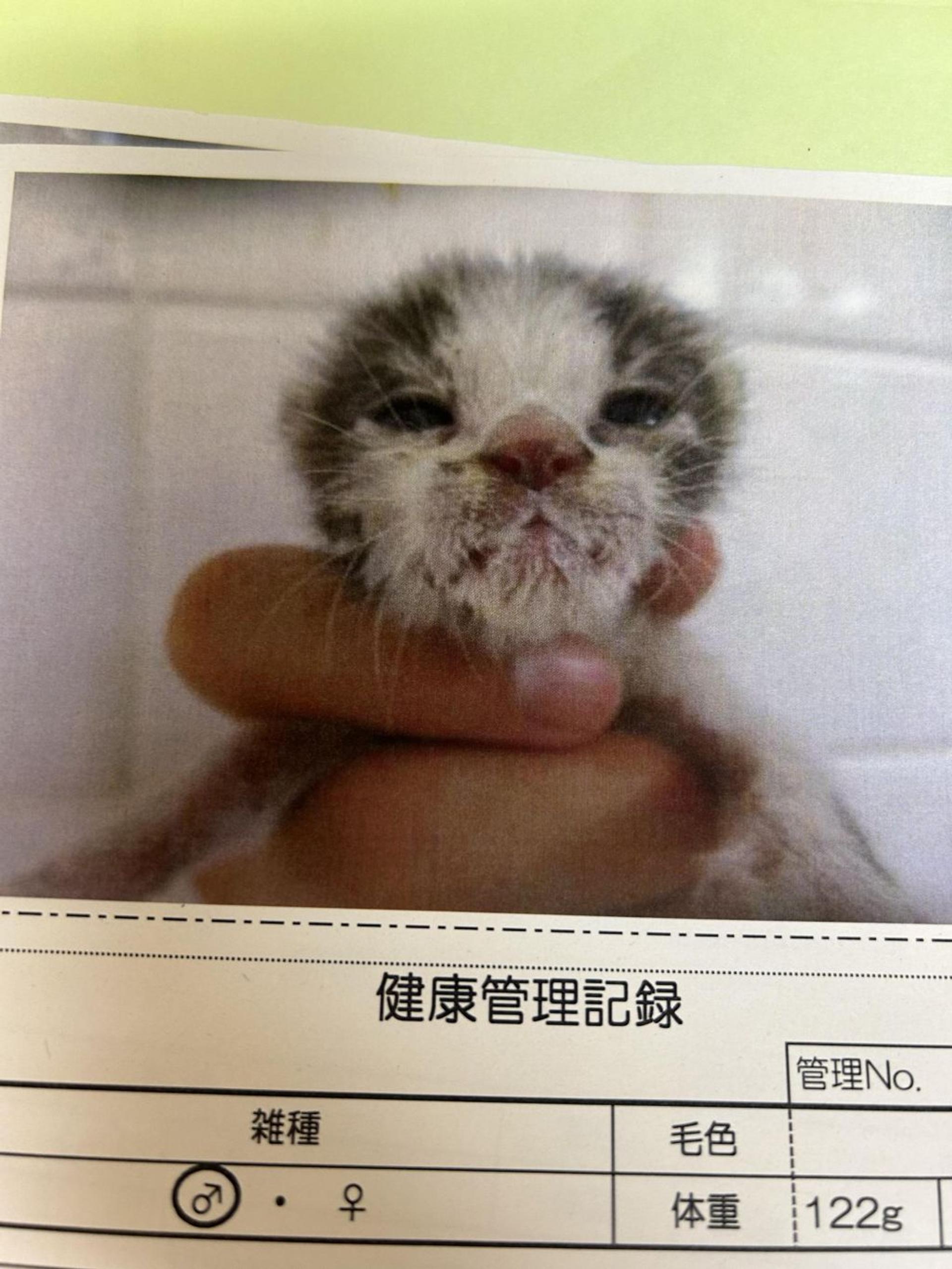 pet-image-10