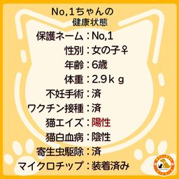 thumb-1