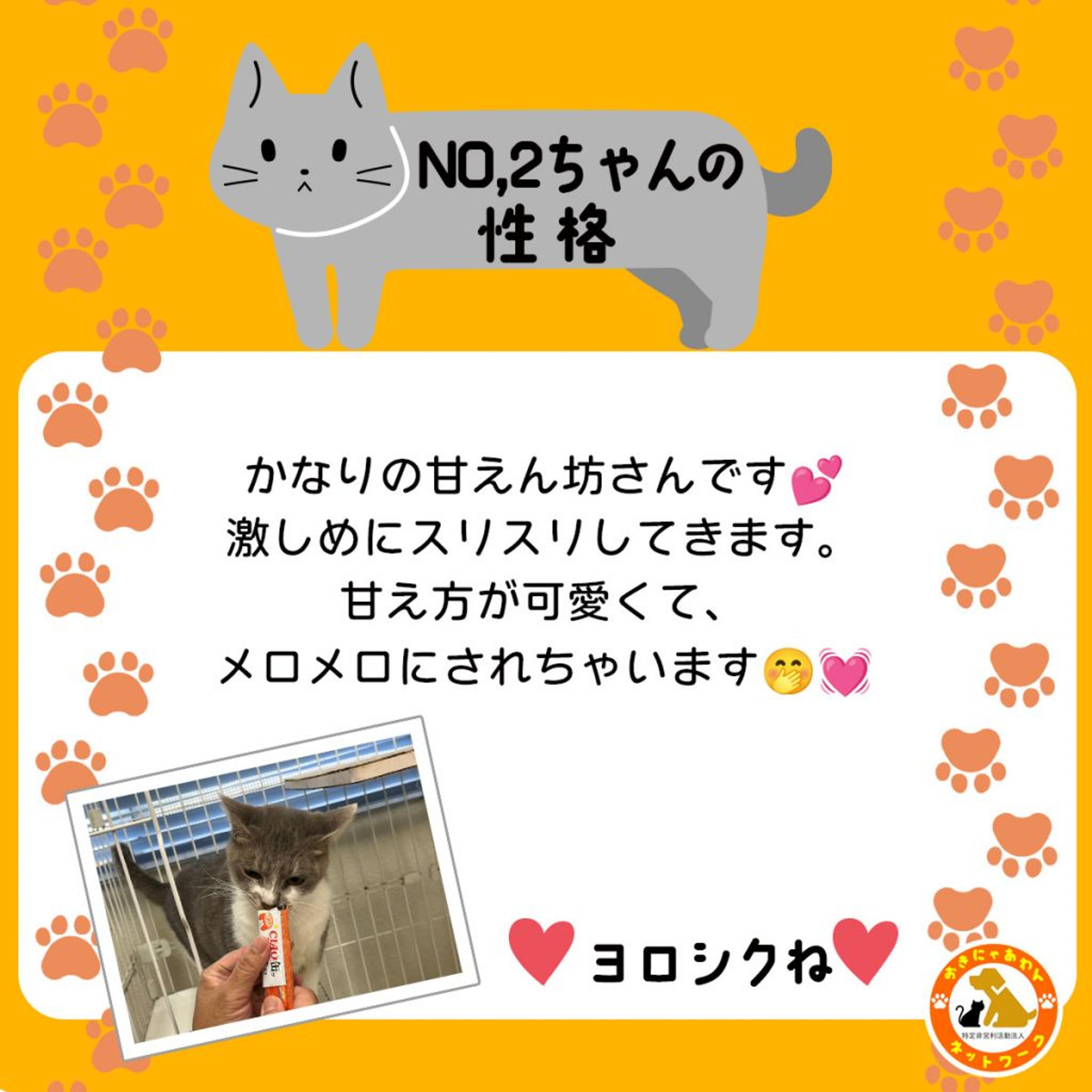 pet-image-3