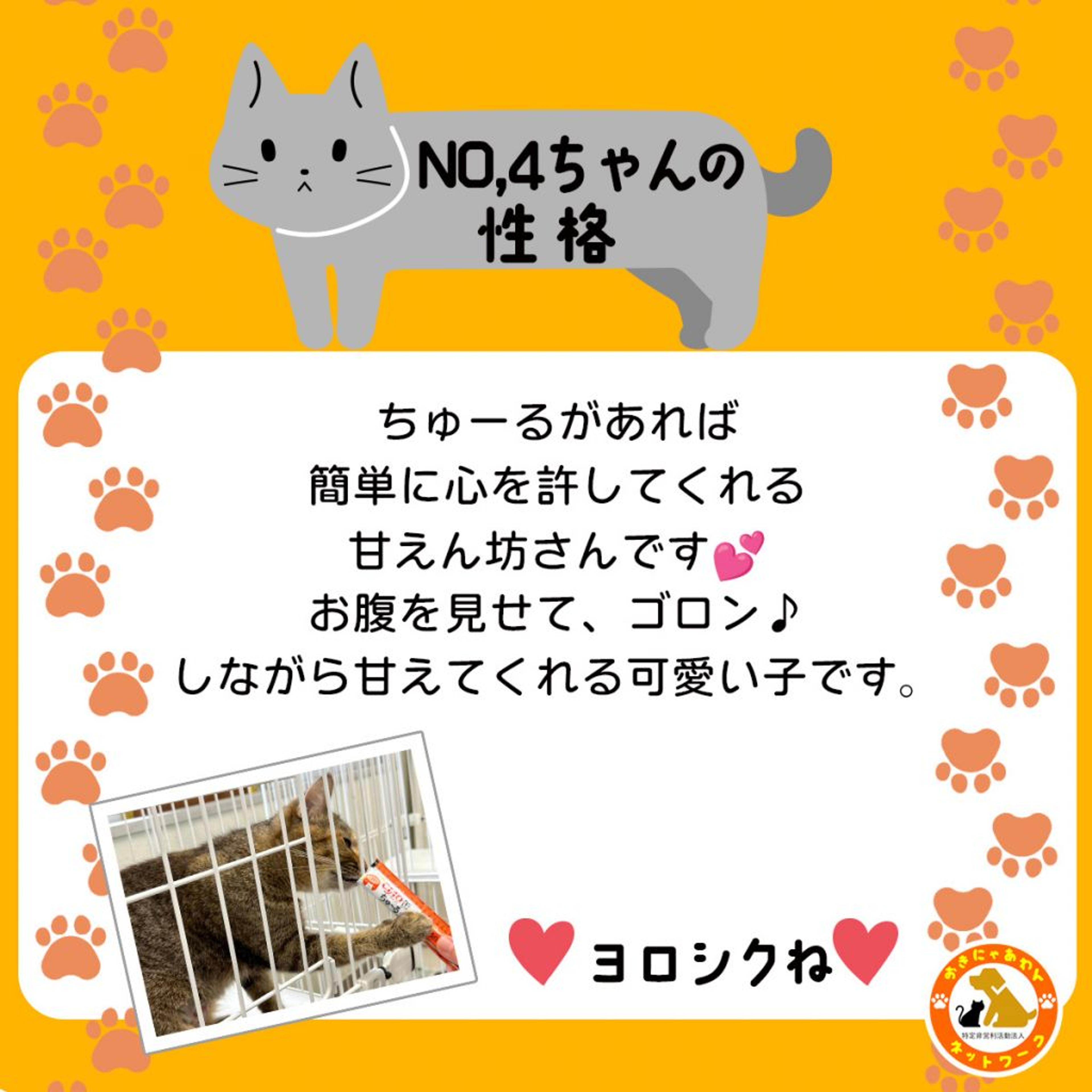 pet-image-3